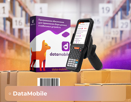 Маршрутизация без ошибок: как адресное хранение с ПО DataMobile сокращает путь кладовщика