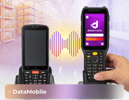 Конкурентные лицензии в группах устройств DataMobile: как это работает и зачем нужно