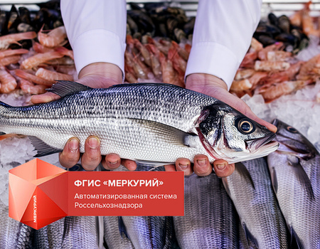 Программа &laquo;Меркурий&raquo;: работа в системе, участники, регистрация, основные операции