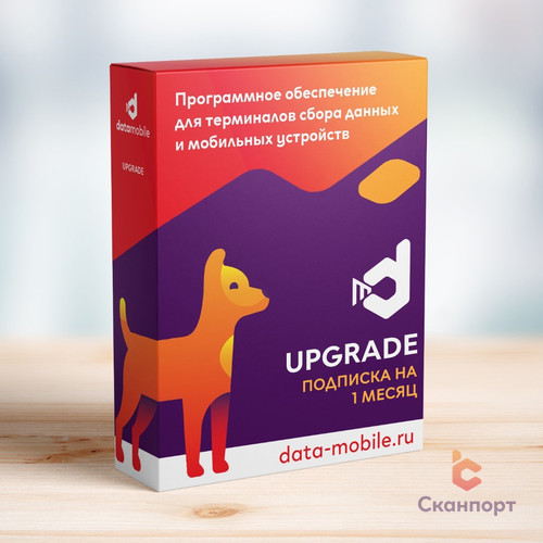 DataMobile Upgrade – подписка на 1 месяц