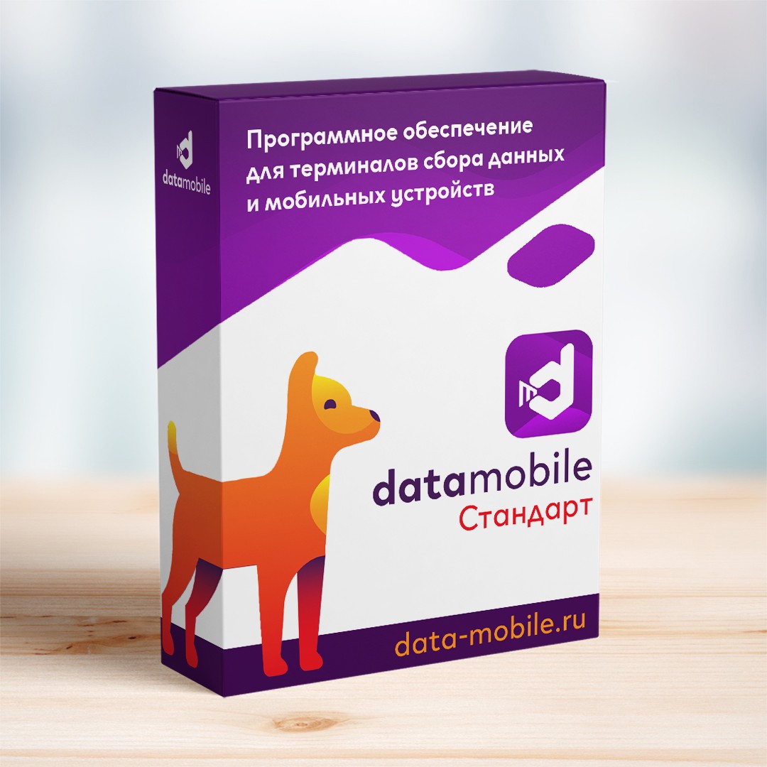 DataMobile, версия Стандарт - LifeTime