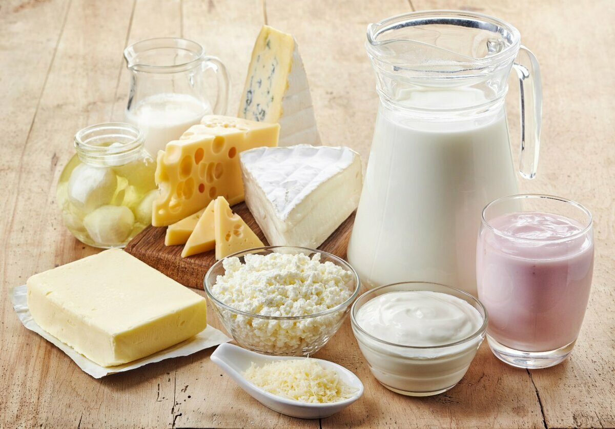 Маркировка молочной продукции в 2022 году для общественного питания